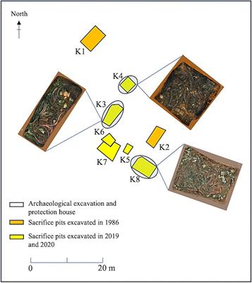 Identification of microbial diversity in buried ivory soil at the Sanxingdui site in Guanghan City, China, using high-throughput sequencing